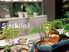 -Sips&Lick茶兰咖啡(五道口店)
