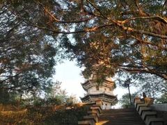 -郑和公园