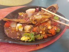 -鱼乐岛餐厅·户外花园主题餐厅