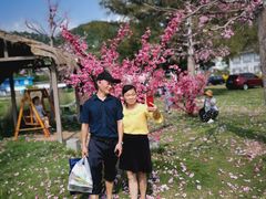-玫瑰海岸文化旅游度假区