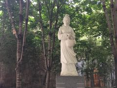 景点-西安曲江寒窑遗址公园