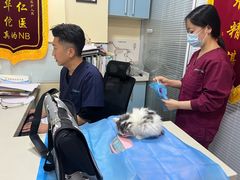 -瑞派·关忠动物医院(国瑞店)