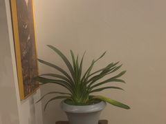 -青曼SPA·按摩·采耳·足道(龙之梦店)