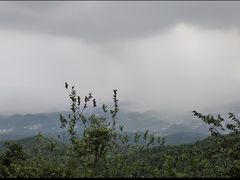 -广州市帽峰山景区