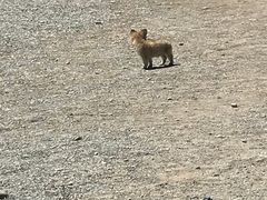 -敦煌古城