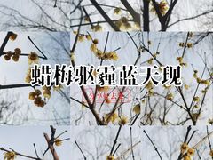 -丰台花园