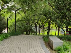 -大望京公园