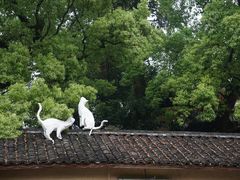 -杨家堂村