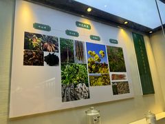-广东中医药博物馆