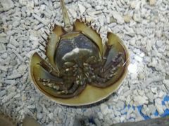 -多彩贵州城极地海洋世界