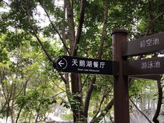 -湖泉半山温泉