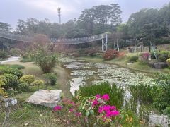 -东莞植物园