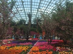 -植物园哈利亚餐厅