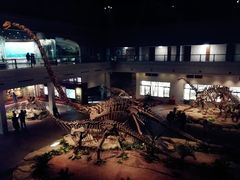 -自贡恐龙博物馆