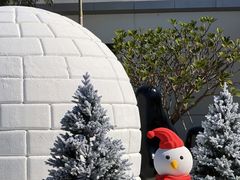 -汕头中海黄金海岸水上乐园