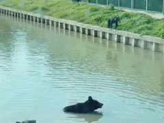 -上海野生动物园