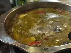 -陈三娃泡姜鸡(太白北路店)