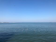 -半天妖烤鱼(芝罘万达店)