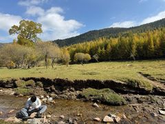 -芦芽山旅游度假区