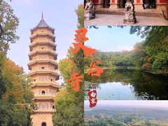 -灵谷景区