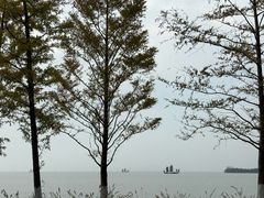 -苏州湾体育公园