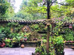 -青城甲(青城山店)