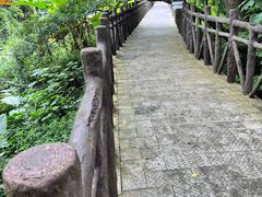 -广州市石门国家森林公园