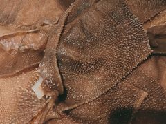 -蜀留香火锅(社会山店)