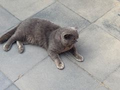 -李叔同故居纪念馆