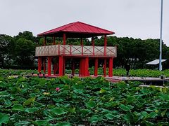-嘉北郊野公园