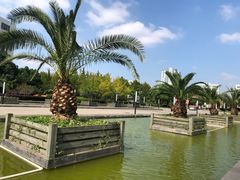 -上海第二工业大学(金海路校区)