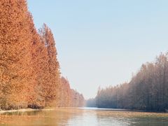 -上海海湾国家森林公园