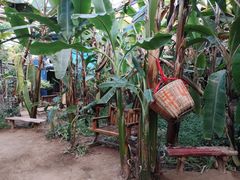 -呀路古热带植物园