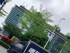 -嘉庚体育馆