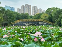 -南昌动物园