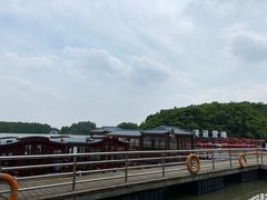 -上海海湾国家森林公园