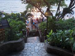 -卷心菜和避孕套餐厅(Pattaya)