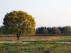 -汉景帝阳陵博物院