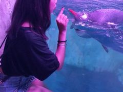 -暹罗海洋世界