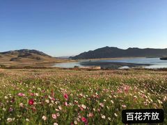 -可可托海景区