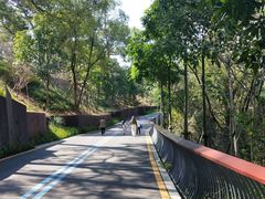 -飞凤山奥体公园