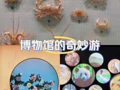 -四川大学博物馆