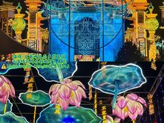 -淄博花灯齐彩城