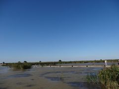 景点-盐城丹顶鹤湿地生态旅游区