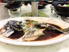 清蒸四海胖头鱼-雅和生态渔庄·宜城锅巴饭(龙灵山公园店)
