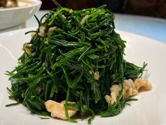 -老阿妈蒙古村·蒙古包·草原文化·歌舞表演(老君堂店)