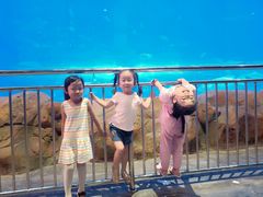 -华夏文旅海洋公园