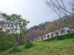 -小南山公园