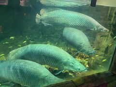 -嘉兴海底世界