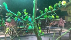 -酷嗒动物文化乐园(cutezoo西溪乐天城店)